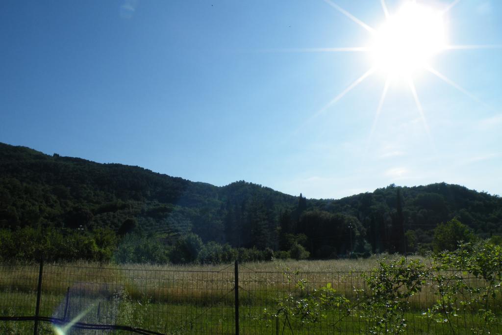 Agriturismo Fattoria Di Gragnone ξενώνας Εξωτερικό φωτογραφία